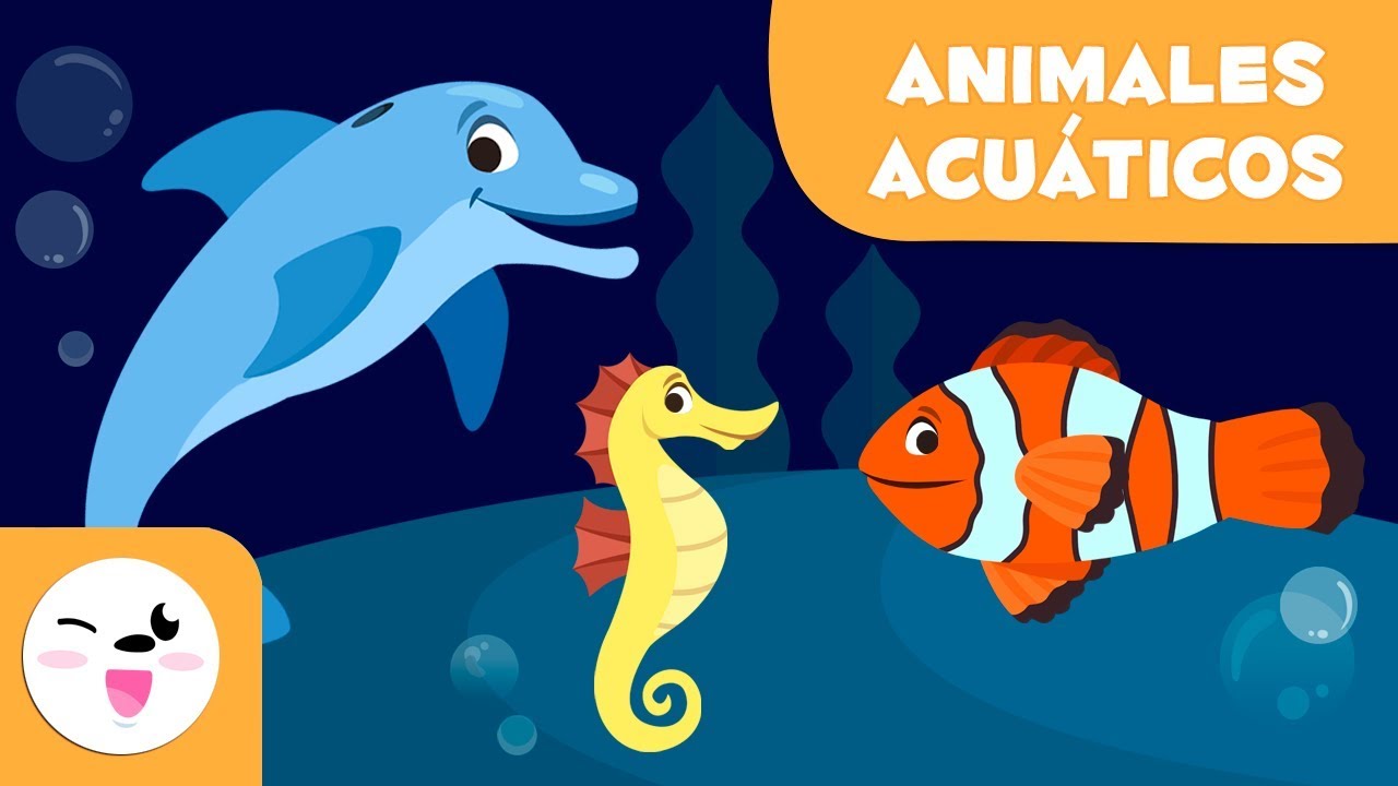 animales que viven en el agua
