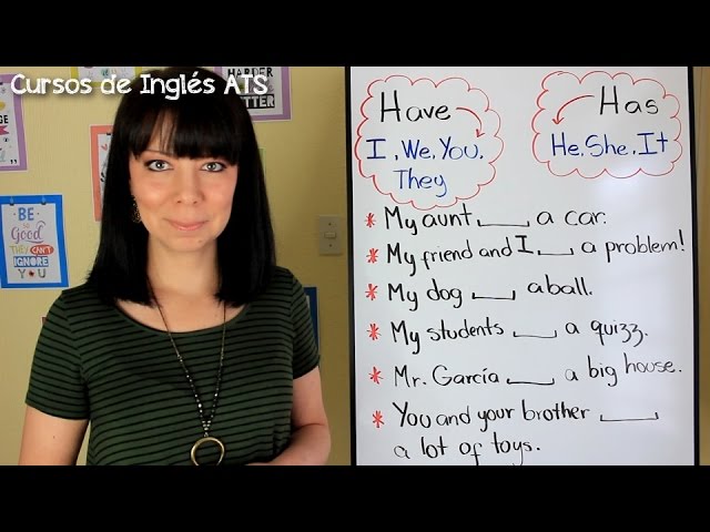 ejercicios con have y has en ingles