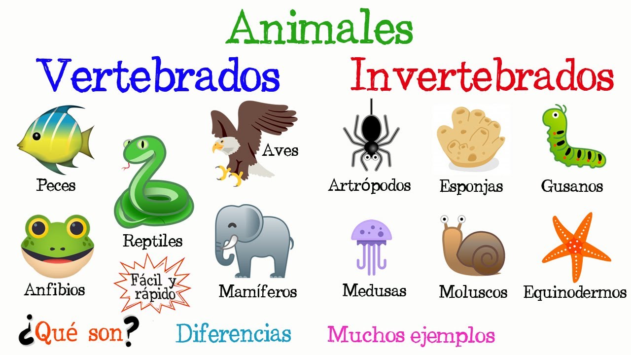 fichas animales vertebrados e invertebrados para imprimir