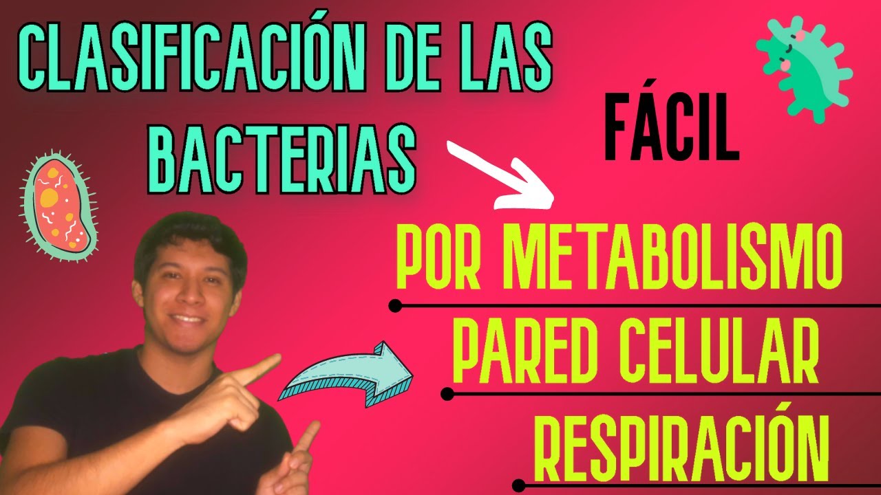 las bacterias son autotrofas o heterotrofas