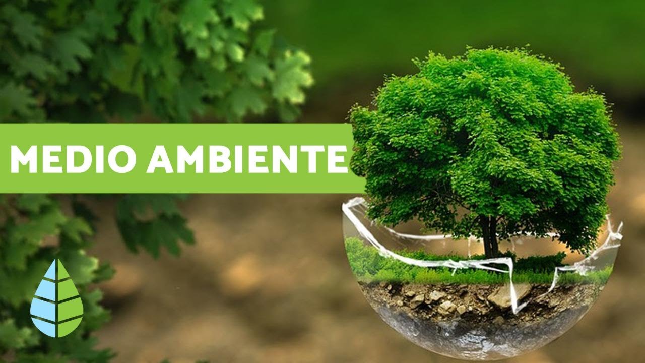 palabras relacionadas con el medio ambiente