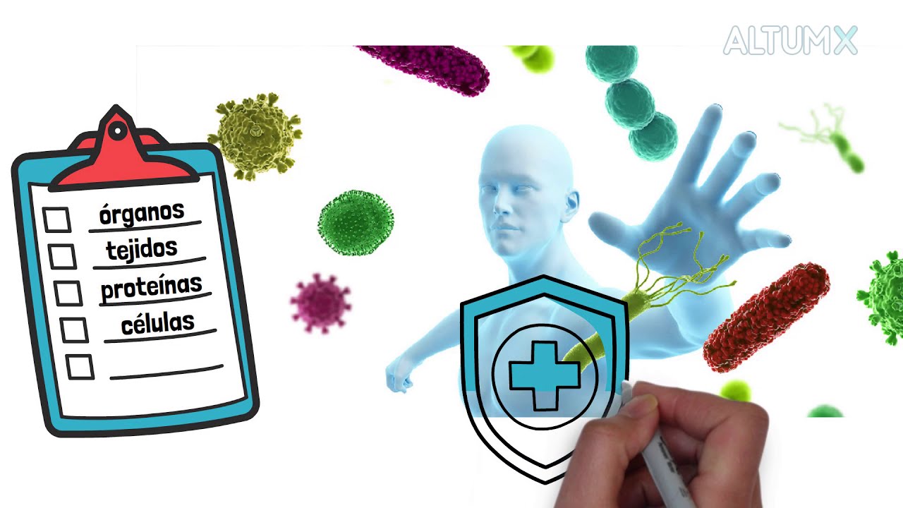 tema 1 ciencias naturales 4 primaria santillana