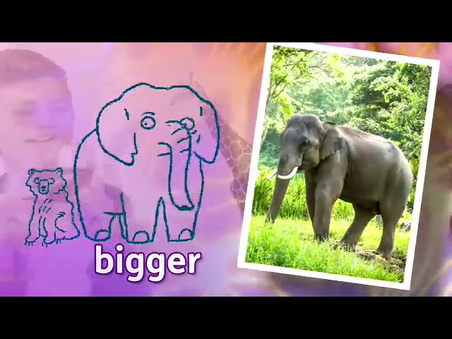 all about us 5 unit 2 standard test