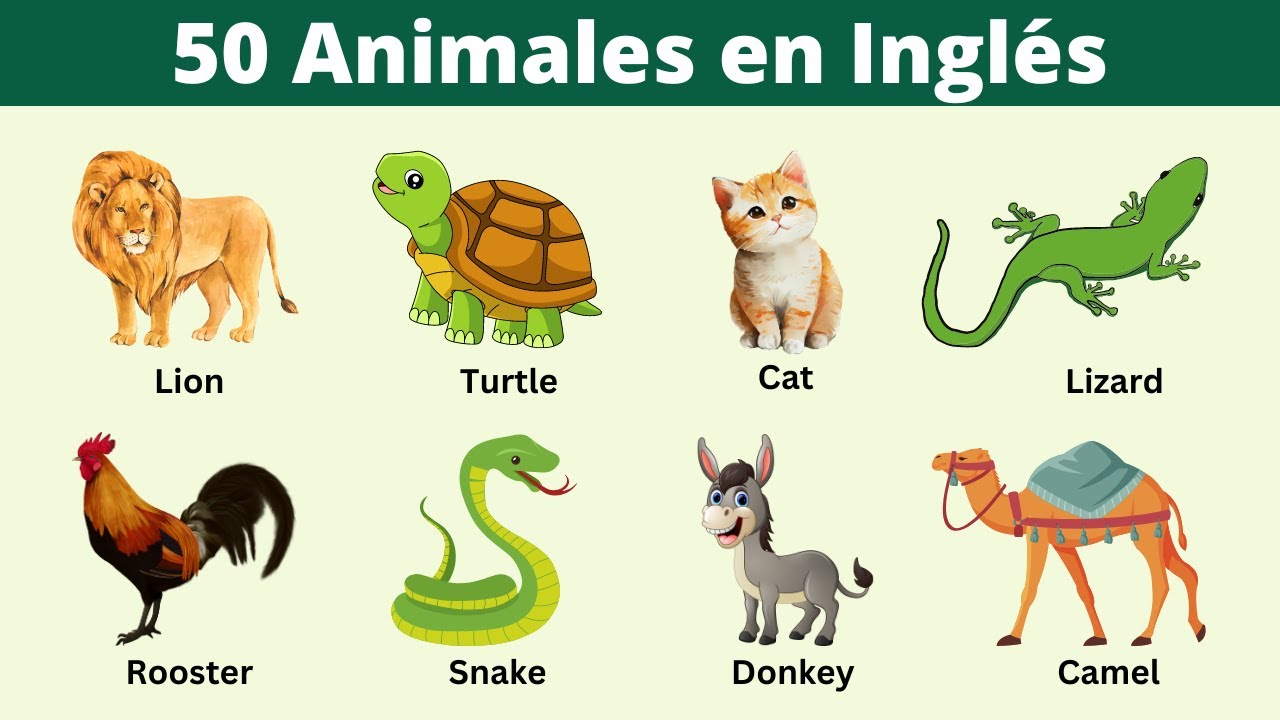 animales con su nombre en ingles y español