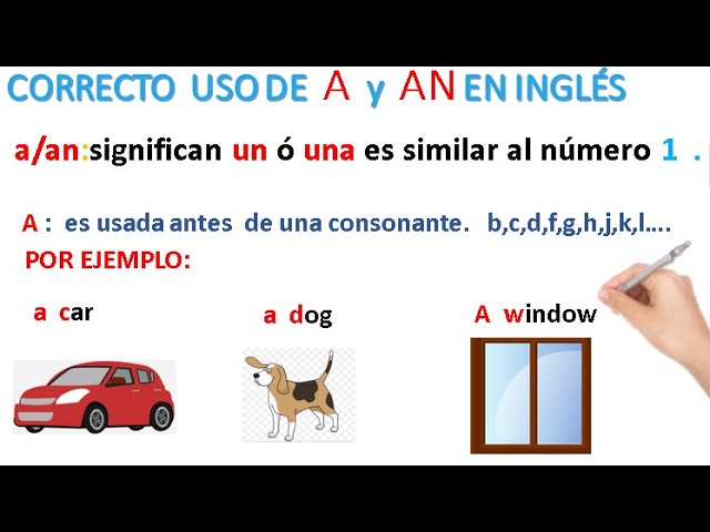 articulo ay an en ingles ejemplos