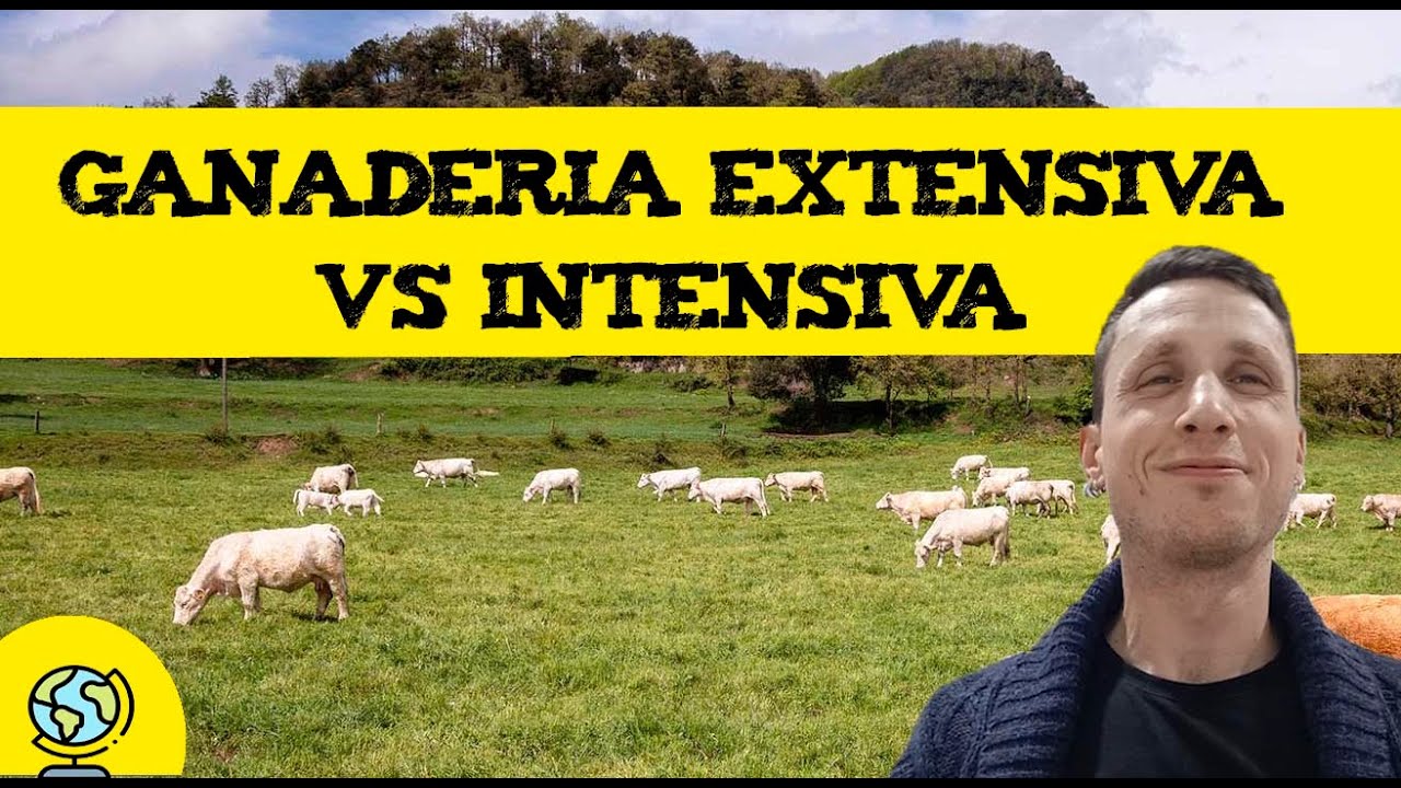 diferencia entre ganaderia intensiva y extensiva