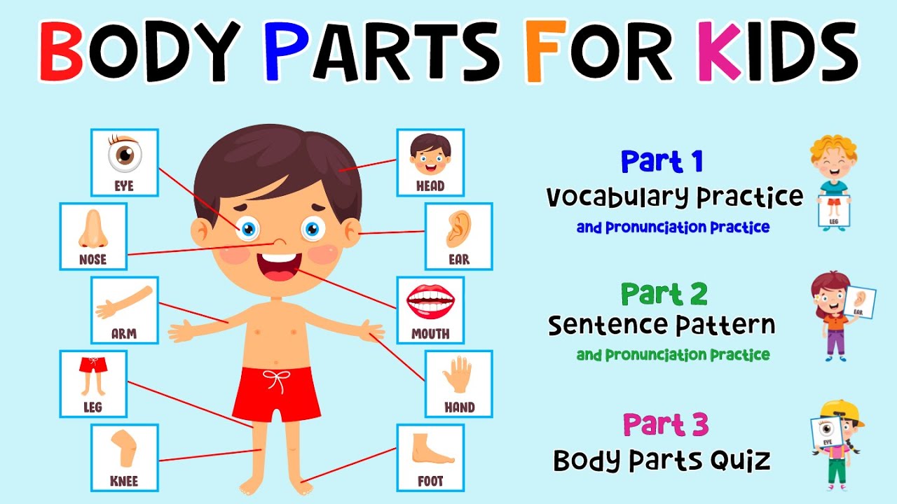parts of the body kindergarten worksheet