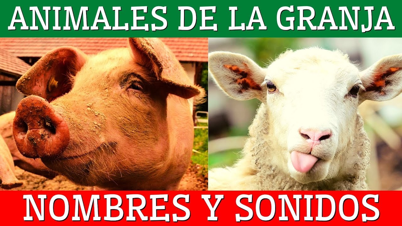 sonidos de los animales de la granja