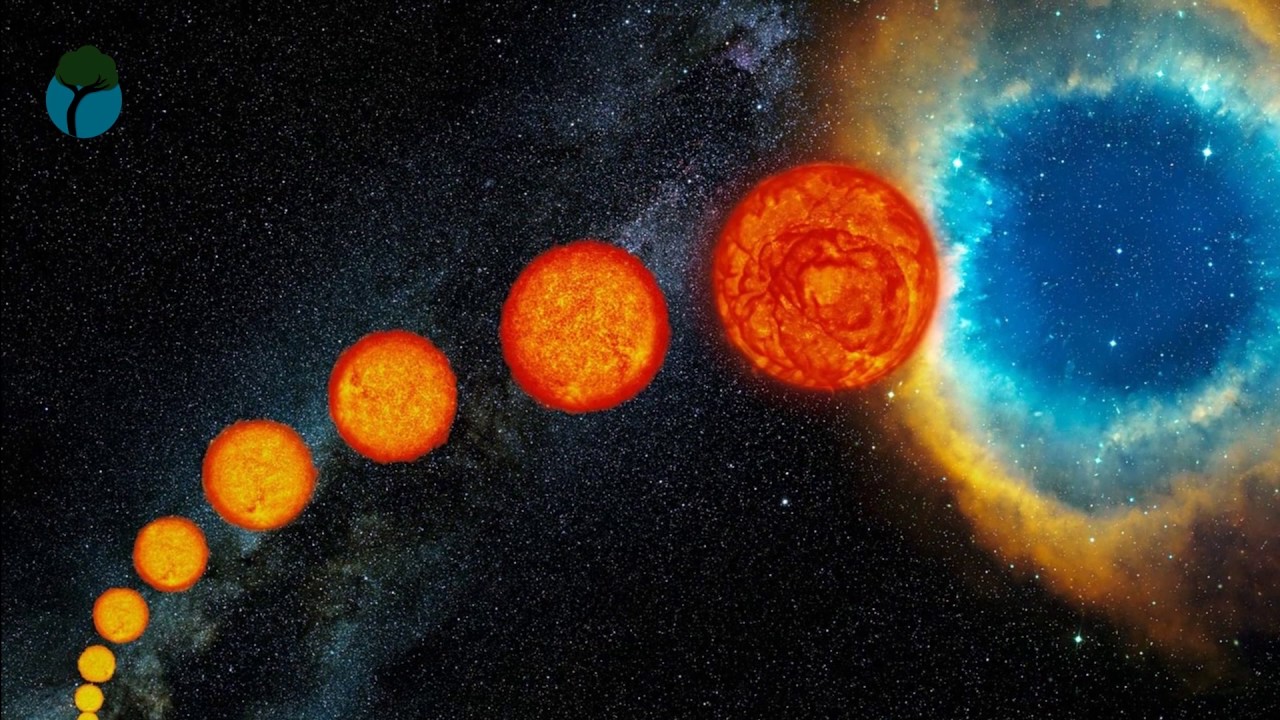 ciclo de la vida de una estrella
