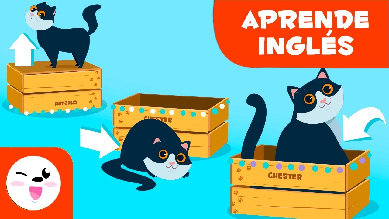 ejercicios de preposiciones en inglés in on under next to