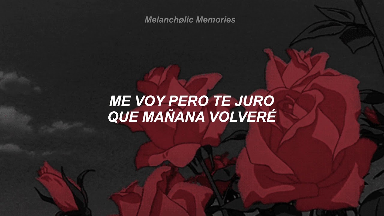 letra un beso y una flor