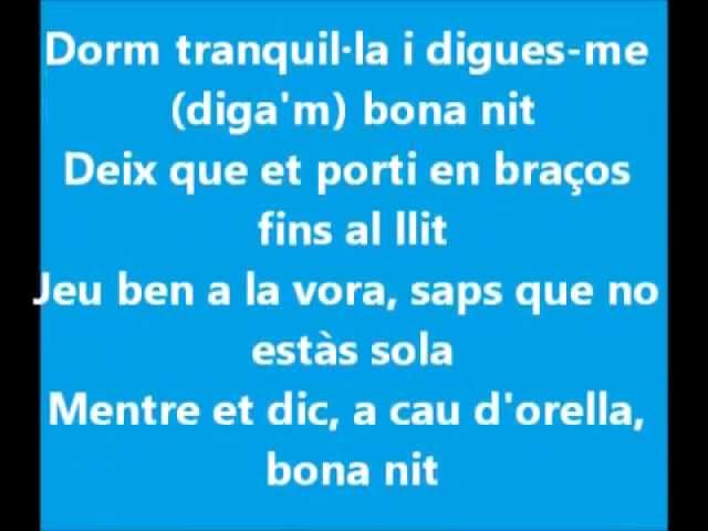 lletra de la cançó de els pets bona nit