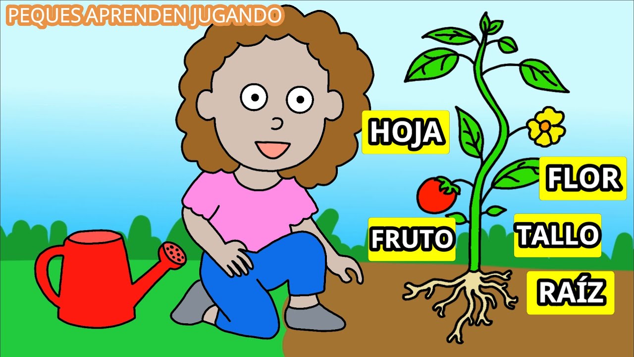 partes de una planta para completar