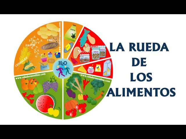 rueda de los alimentos para completar