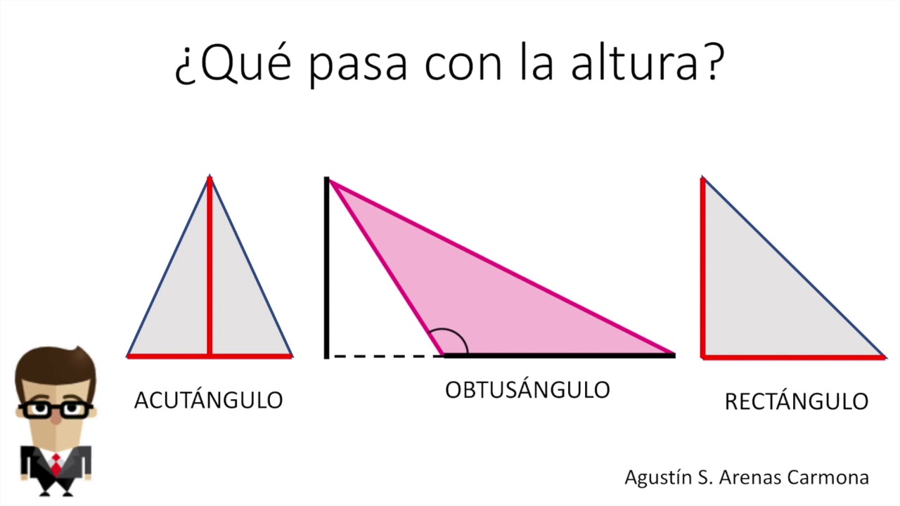 base y altura de triangulos y paralelogramos