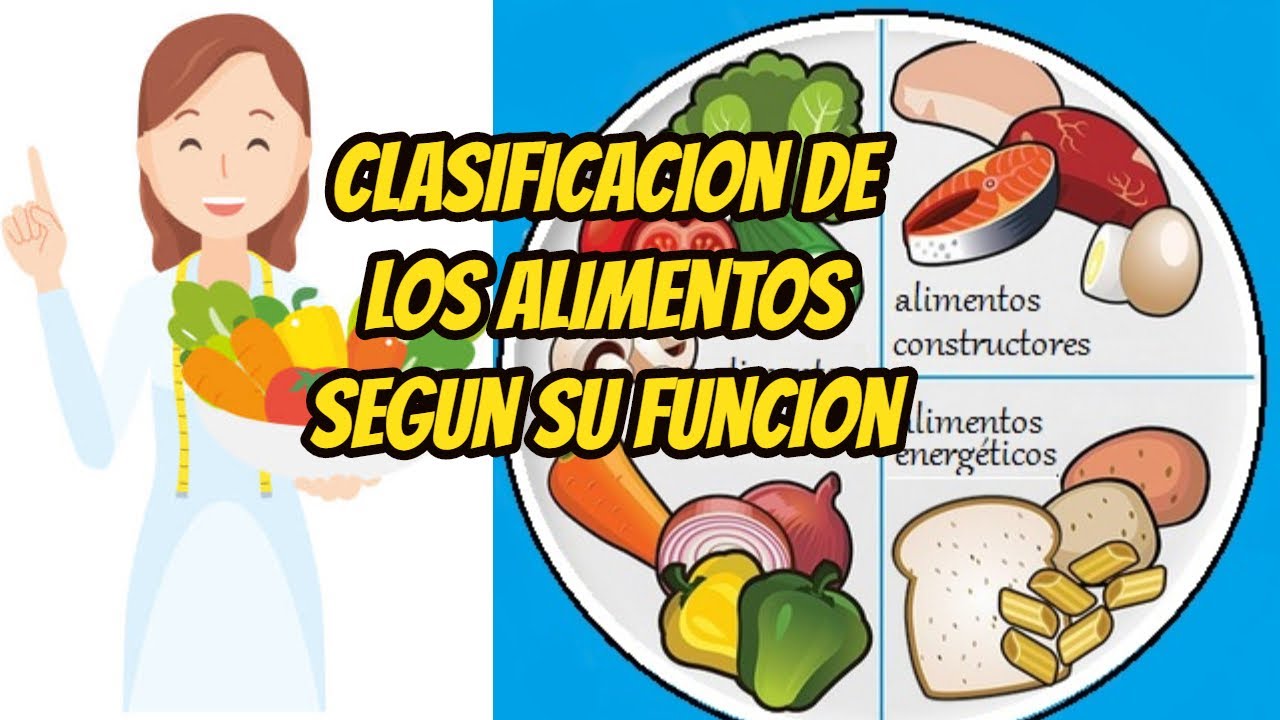 clasificación de los alimentos segun su funcion