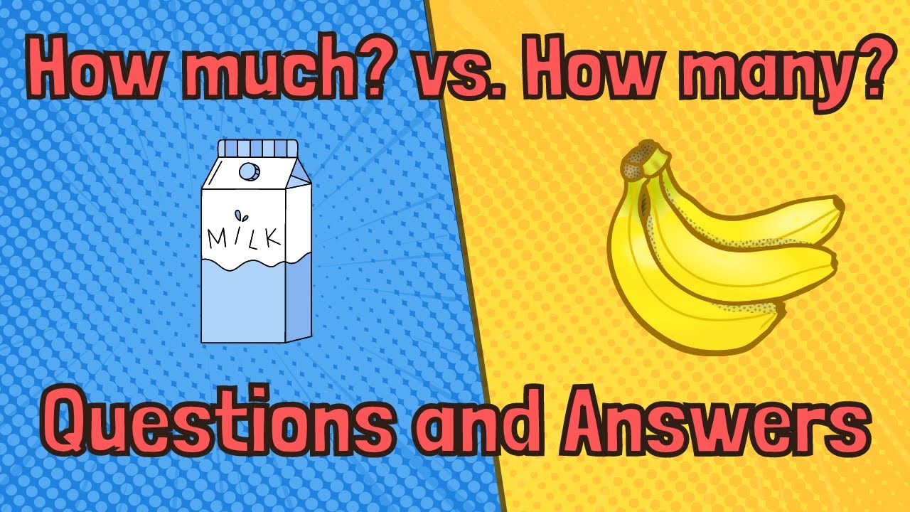 exercises with how much and how many