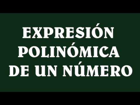 expresion polinomica de un numero 6 primaria