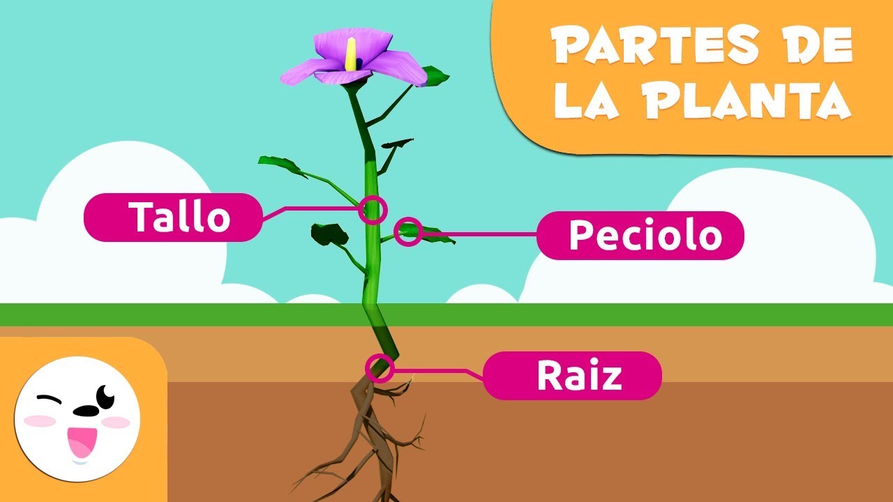 fichas conocimiento del medio 4 primaria santillana