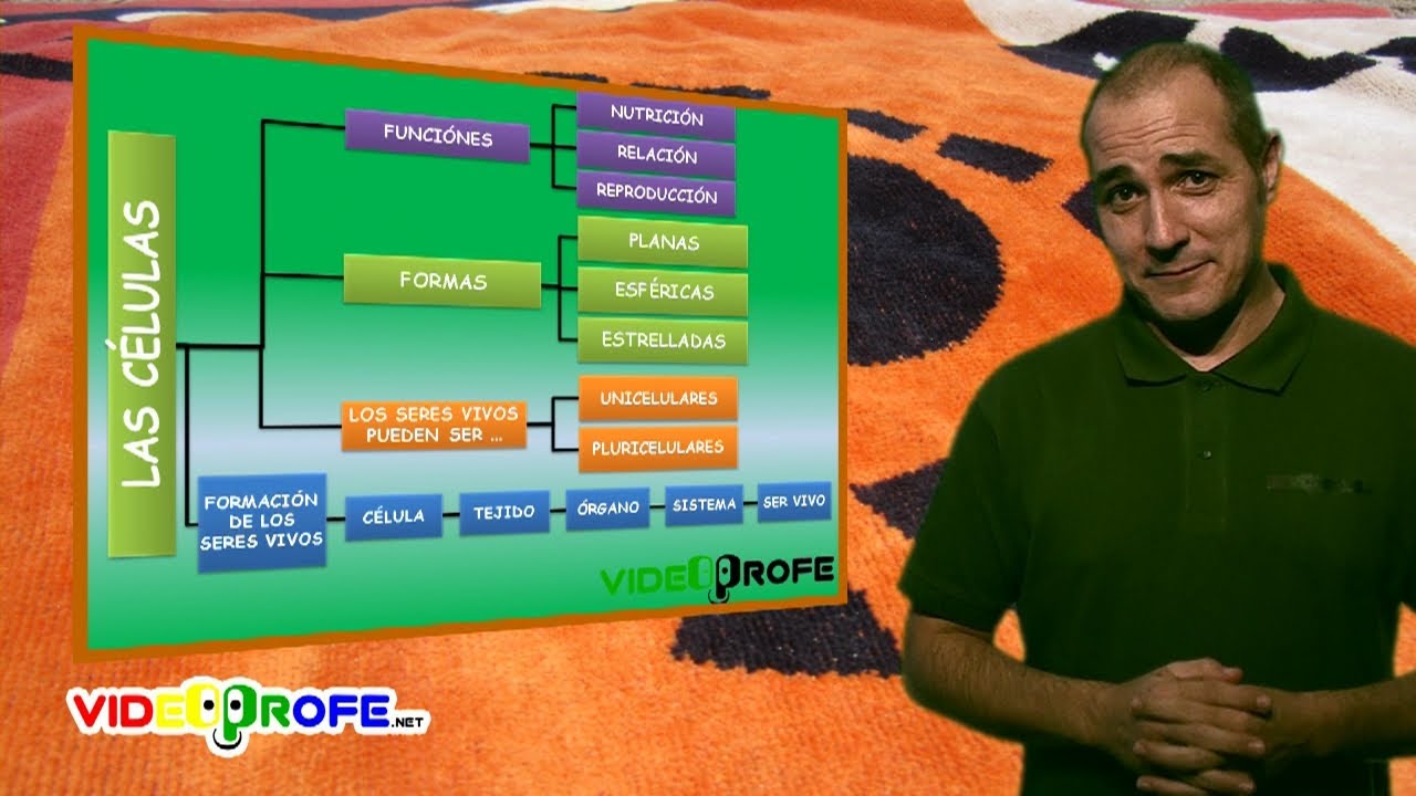 libro de conocimiento del medio 5 de primaria