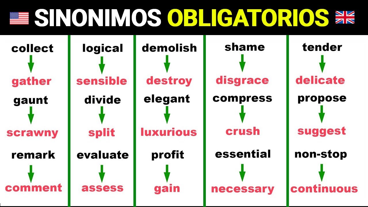 lista de sinonimos en ingles ejemplos