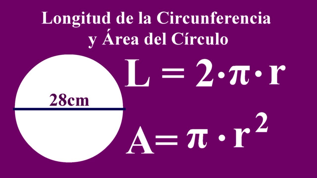 longitud de la circunferencia y area del circulo