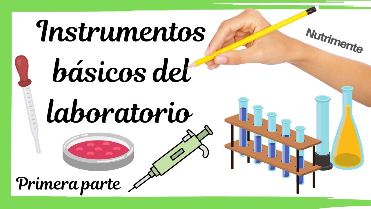 instrumentos de laboratorio y sus funciones