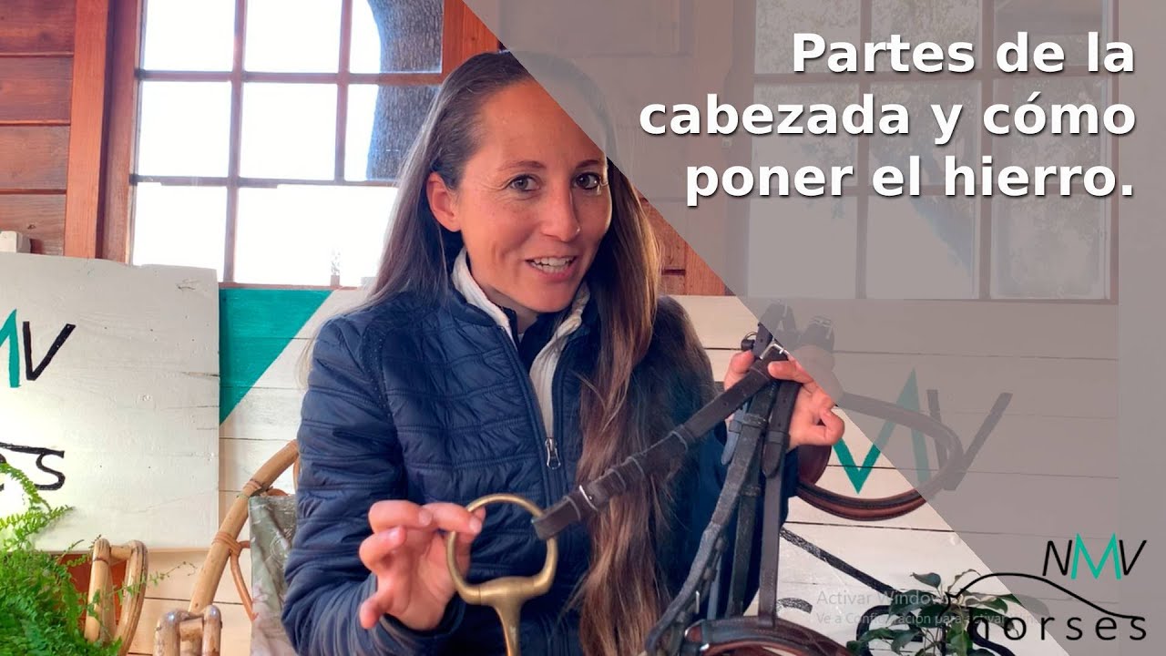 partes de la cabezada de un caballo