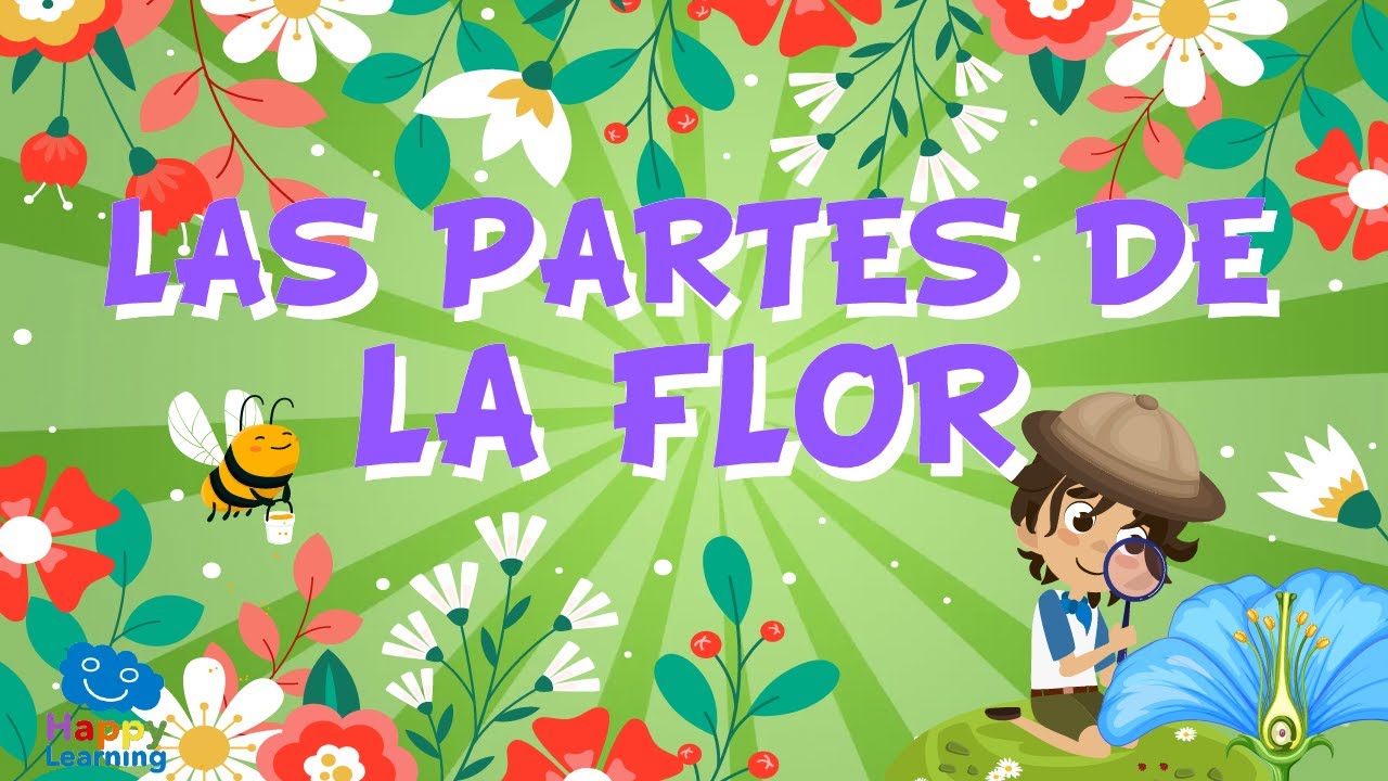 partes de una flor y su funcion