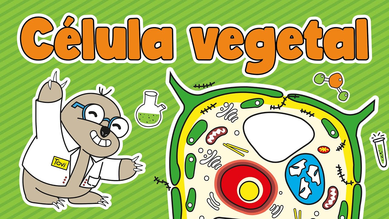 juego partes de la célula vegetal
