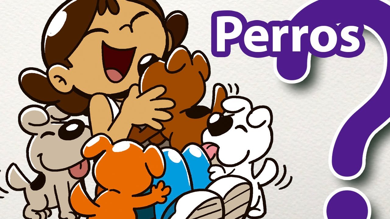 los perros de agosto preguntas y respuestas