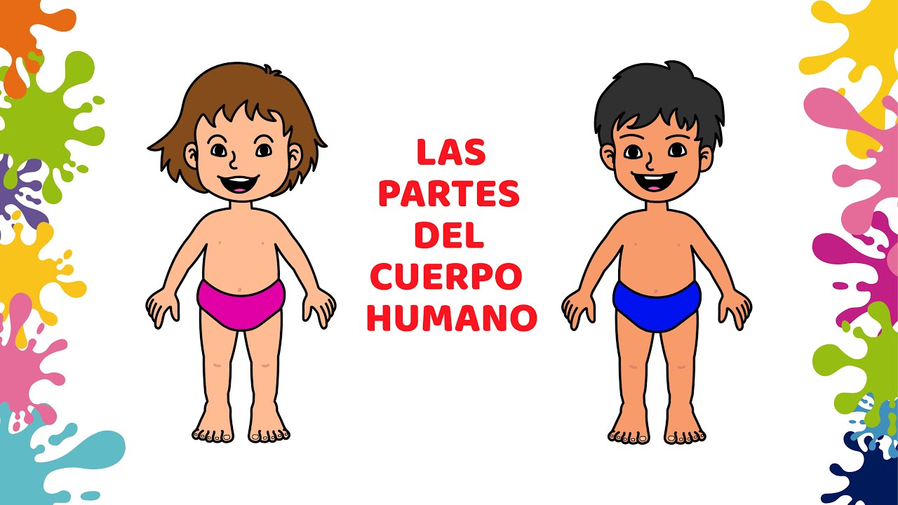 silueta del cuerpo humano para imprimir